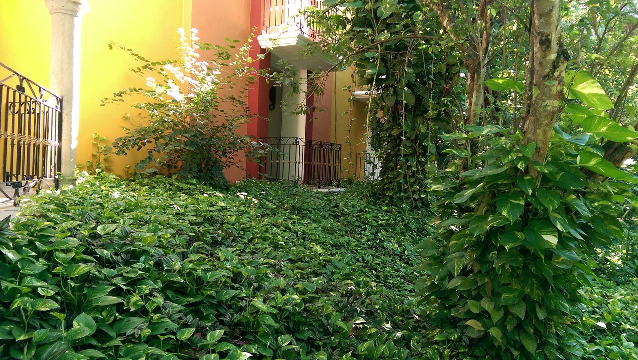 Ecotel Quinta Regia Valladolid  Exteriör bild
