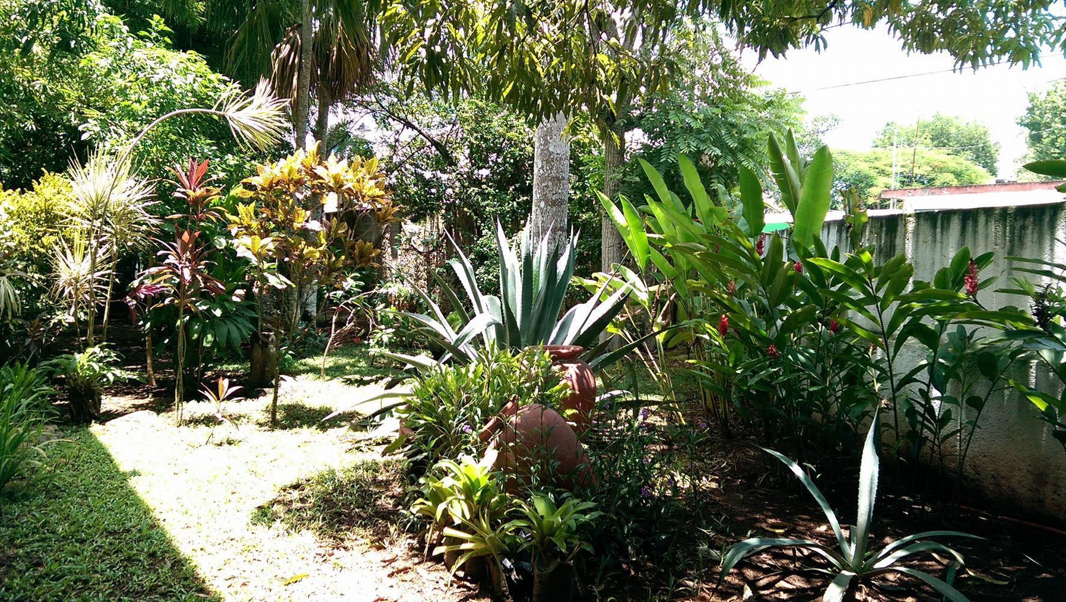 Ecotel Quinta Regia Valladolid  Exteriör bild